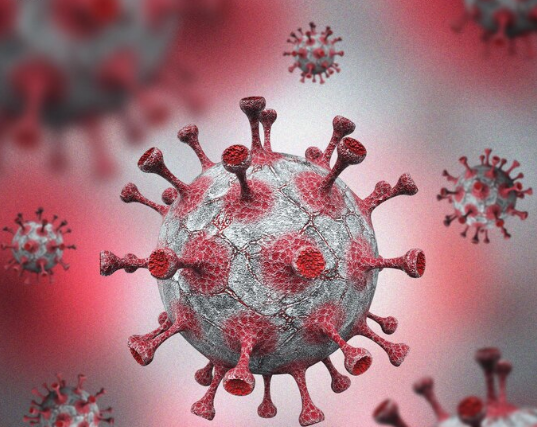 Middle East Respiratory Syndrome Coronavirus (MERS-CoV)