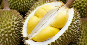 How to Incorporate Durian’s Nutritional Powerhouse into Your Diet!