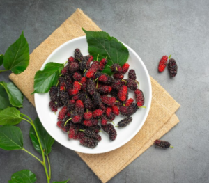 Why Mulberry Fruit is the Next Big Trend in Superfoods