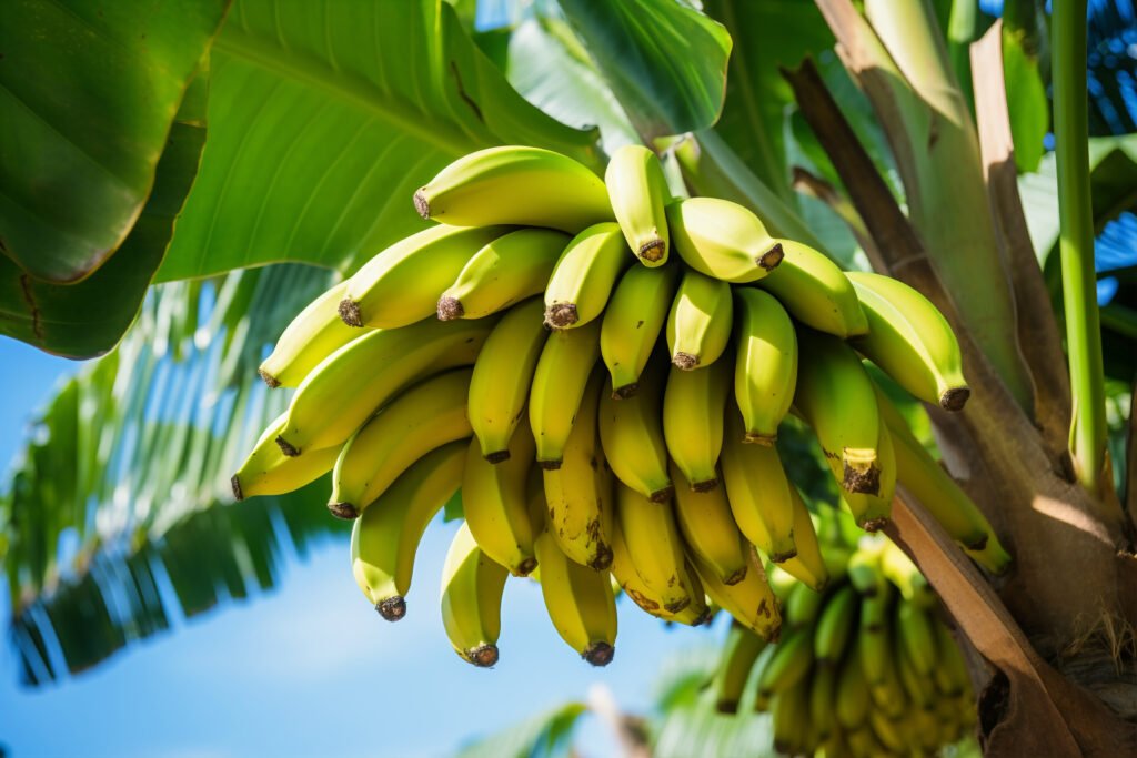 10 Proven Benefits of Bananas for Health and Well-being