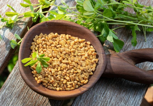 Top 10 Nutrients in Fenugreek Seeds You Need to Know