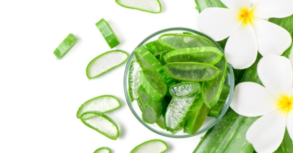 The Science-Backed Benefits of Aloe Vera You’ve Been Missing