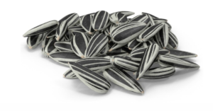 How to Use Sunflower Seeds for Weight Loss and Better Nutrition?