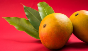 Alphonso: The King of Mangoes