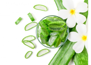 The Science-Backed Benefits of Aloe Vera You’ve Been Missing