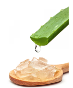 The Science-Backed Benefits of Aloe Vera You’ve Been Missing