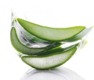 The Science-Backed Benefits of Aloe Vera You’ve Been Missing