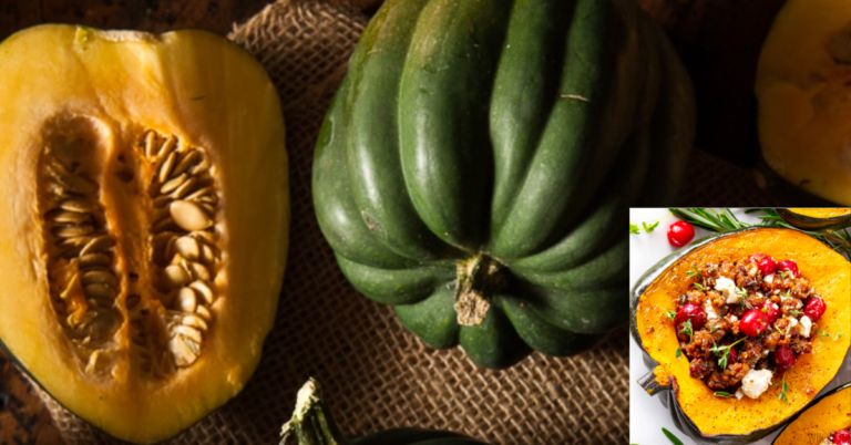 The Remarkable Benefits of Eating Acorn Squash in Winter