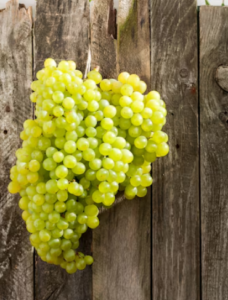 Surprising Health Benefits of Green Grapes You Didn’t Know About